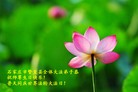 Published on 5/11/2013 ֹ,ʯׯ󷨵ӹʦ𻪵߷ִգ28
