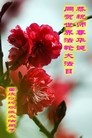 Published on 5/11/2013 ֹ,󷨵ӹʦ𻪵߷ִգ31
