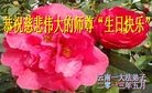 Published on 5/12/2013 ֹ,ϴ󷨵ӹʦ𻪵߷ִգ27

