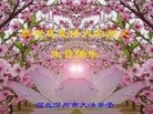Published on 5/12/2013 ֹ,ӱ󷨵ӹʦ𻪵߷ִգ24
