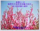 Published on 5/13/2013 ֹ,̽󷨵ӹʦ𻪵߷ִ(27)
