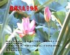 Published on 5/11/2013 ֹ,󷨵ӹʦ𻪵߷ִգ30
