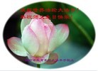 Published on 5/12/2013 ֹ,ϵͳ󷨵ӹʦ𻪵߷ִգ25
