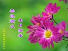 ֹ,󷨵ӹʦ𻪵ߴ󷨺鴫ʮ(24)
