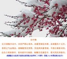 ֹ,ɶ󷨵ӹʦ𻪵ߴ󷨺鴫ʮ(25)
