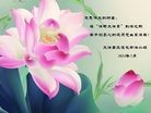 ֹ,󷨵ӹʦ𻪵ߴ󷨺鴫ʮ(25)
