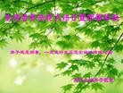 ֹ,ʡ󷨵ӹʦ𻪵ߴ󷨺鴫ʮ(22)
