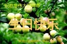 ֹ,󷨵ӹʦ𻪵ߴ󷨺鴫ʮ(21)
