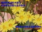 ֹ,󷨵ӹʦ𻪵ߴ󷨺鴫ʮ(20)
