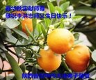 ֹ,󷨵ӹʦ𻪵ߴ󷨺鴫ʮ(20)
