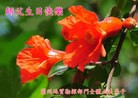 ֹ,󷨵ӹʦ𻪵ߴ󷨺鴫ʮ(19)
