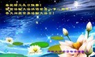 ֹ,ʡ󷨵ӹʦ𻪵ߴ󷨺鴫ʮ(21)
