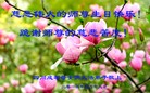 ֹ,ɶ󷨵ӹʦ𻪵ߴ󷨺鴫ʮ(27)
