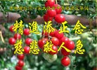 ֹ,д󷨵ӹʦ𻪵ߴ󷨺鴫ʮ(20)
