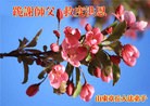 ֹ,ϴ󷨵ӹش󷨺鴫ʮʦ𻪵(22)
