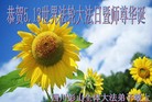 ֹ,Ĵ󷨵ӹʦ𻪵ߴ󷨺鴫ʮ(24)
