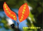 ֹ,󷨵ӹʦ𻪵ߴ󷨺鴫ʮ(20)
