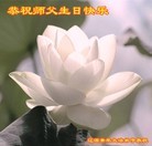 ֹ,ʡ󷨵ӹʦ𻪵ߴ󷨺鴫ʮ(21)
