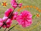 ֹ,󷨵ӹʦ𻪵ߴ󷨺鴫ʮ(24)
