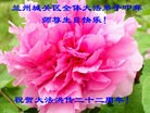 ֹ,󷨵ӹʦ𻪵ߴ󷨺鴫ʮ(19)
