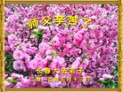 ֹ,󷨵ӹʦ𻪵ߴ󷨺鴫ʮ(20)

