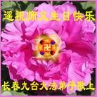 ֹ,󷨵ӹʦ𻪵ߴ󷨺鴫ʮ(20)
