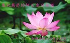 ֹ,մ󷨵ӹʦ𻪵ߴ󷨺鴫ʮ(20)
