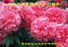 ֹ,󷨵ӹʦ𻪵ߴ󷨺鴫ʮ(24)
