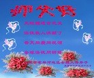ֹ,ɹŴ󷨵ӹʦ𻪵ߴ󷨺鴫ʮ(22)
