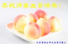 ֹ,մ󷨵ӹش󷨺鴫ʮʦ𻪵(26)
