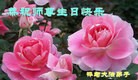 ֹ,д󷨵ӹش󷨺鴫ʮʦ𻪵(24)
