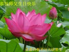 ֹ,󷨵ӹش󷨺鴫ʮʦ𻪵(25)
