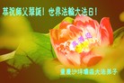 ֹ,󷨵ӹش󷨺鴫ʮʦ𻪵(29)
