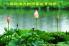 ֹ,󷨵ӹش󷨺鴫ʮʦ𻪵(20)
