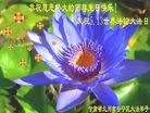 ֹ,󷨵ӹش󷨺鴫ʮʦ𻪵(28)
