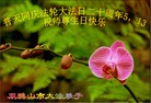 ֹ,󷨵ӹش󷨺鴫ʮʦ𻪵(28)
