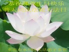 ֹ,󷨵ӹش󷨺鴫ʮʦ𻪵(29)
