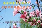 ֹ,Ĵ󷨵ӹش󷨺鴫ʮʦ𻪵(23)
