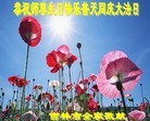 ֹ,д󷨵ӹش󷨺鴫ʮʦ𻪵(24)
