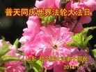 ֹ,󷨵ӹش󷨺鴫ʮʦ𻪵(20)
