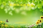 ֹ,Ĵ󷨵ӹ編ִʦ𻪵(28)
