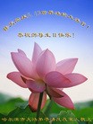 ֹ,󷨵ӹ編ִʦ𻪵(26)

