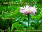 ֹ,󷨵ӹ編ִʦ𻪵(26)
