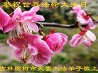 ֹ,󷨵ӹ編ִʦ𻪵(27)
