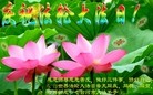ֹ,󷨵ӹ編ִʦ𻪵(25)
