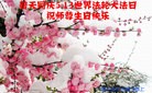 ֹ,󷨵ӹ編ִʦ𻪵(25)
