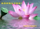 ֹ,ʡ󷨵ӹ編ִʦ𻪵(30)
