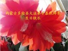ֹ,ɹŴ󷨵ӹ編ִʦ𻪵(27)
