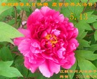 ֹ,մ󷨵ӹ編ִʦ𻪵(25)
