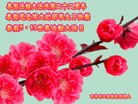 ֹ,ʡ󷨵ӹ編ִʦ𻪵(30)
